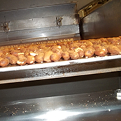 Food Processing Conveyor