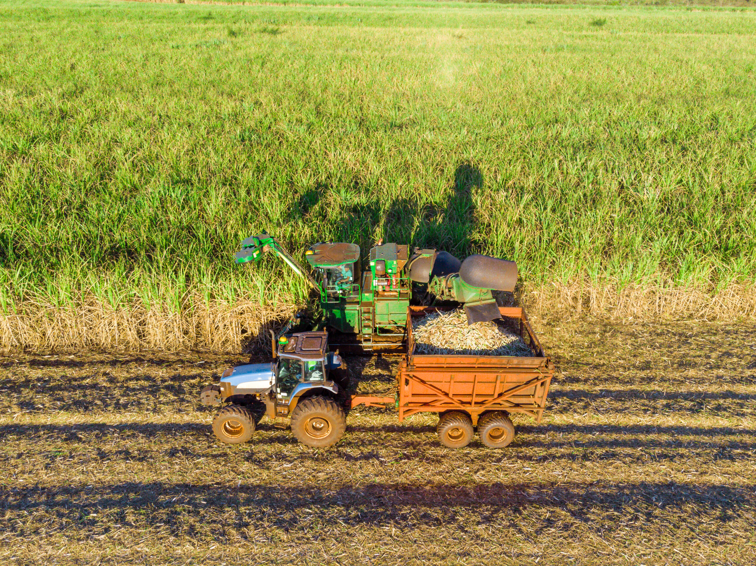 Farm Tractors working on sugar cane harvest plantation aerial view.